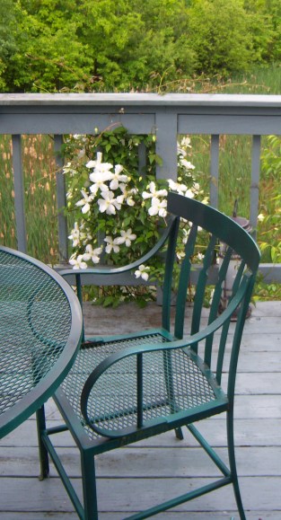 Clematis Adds to Deck View