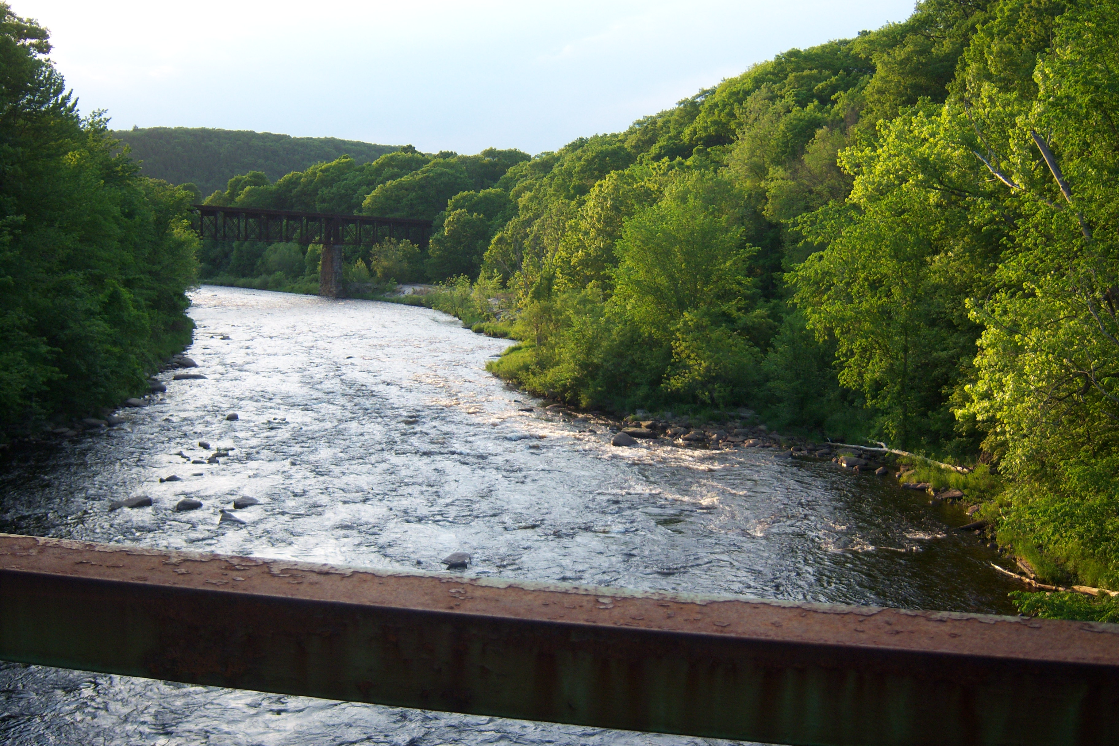 195 River view taken from back country metal bridge