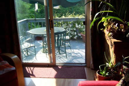 047-wl-better-am-view-end-of-may Flowering Clematis with Early Morning Light