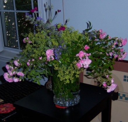 030-wl-rose-ladies-mantle-catnip-bouquet abundance of the garden comes inside