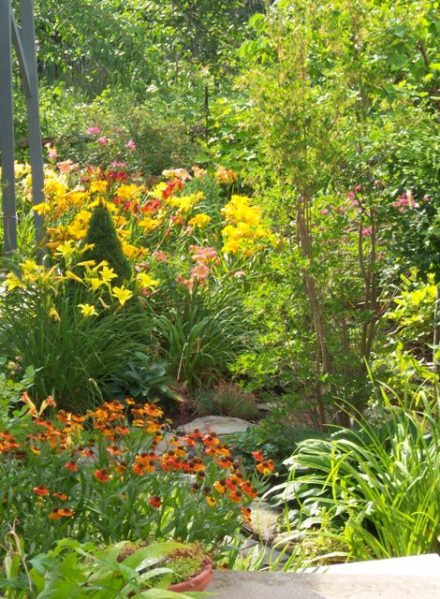 001-wl-c-july-daylily-garden1 001-wl-c-july-daylily-garden1