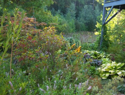 012-cwl-herbs-oregano-and-flowering1
