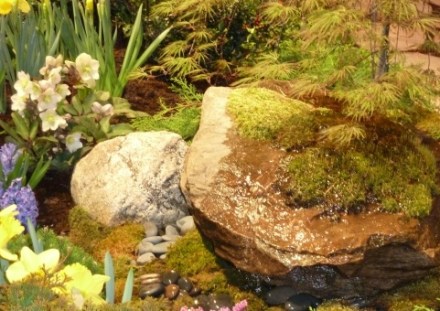 c-wl-hellebore-w-water-feature-boston-flower-show-116 Photo by Maria von Brincken 2012